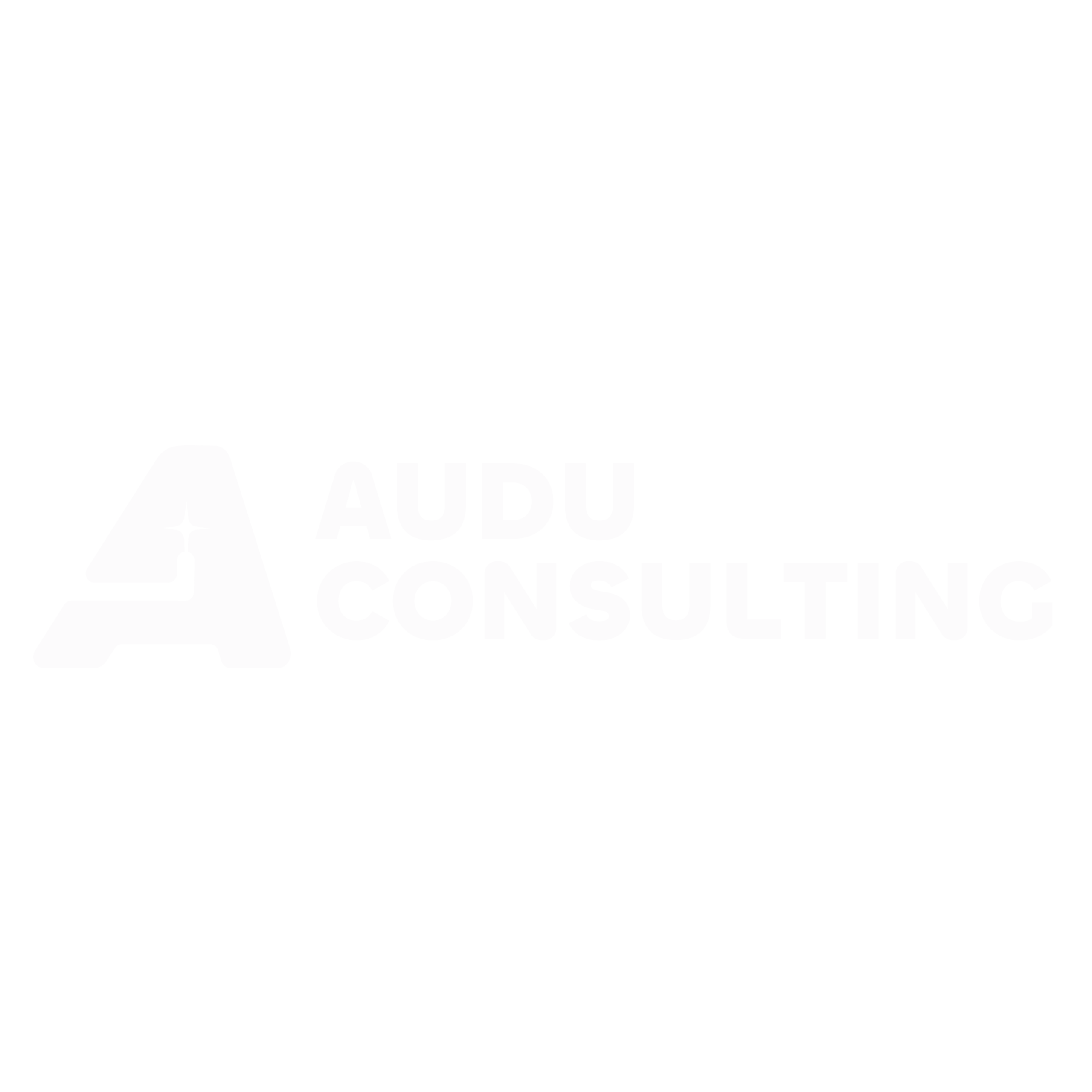 auduconsulting.com