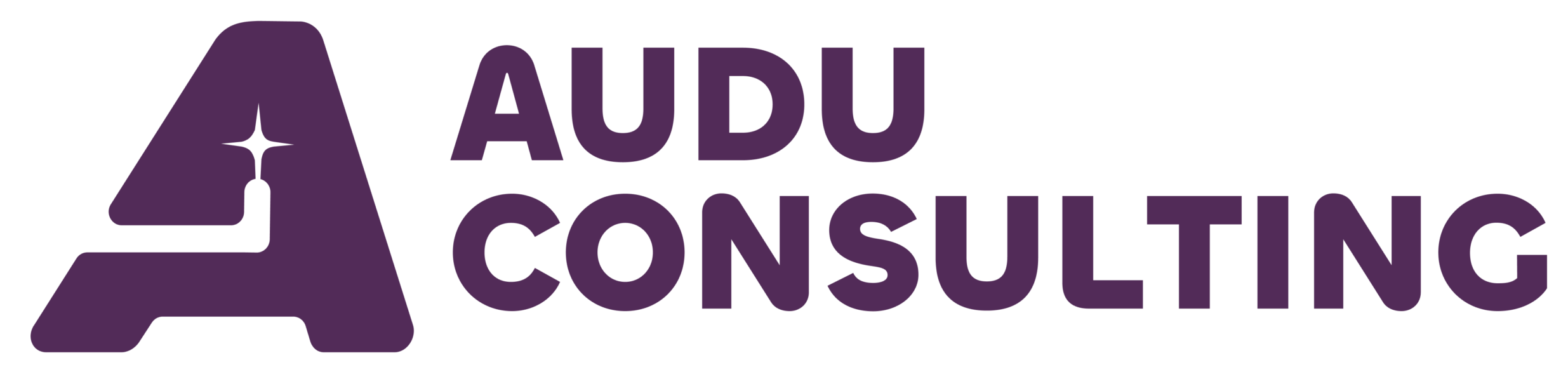 auduconsulting.com